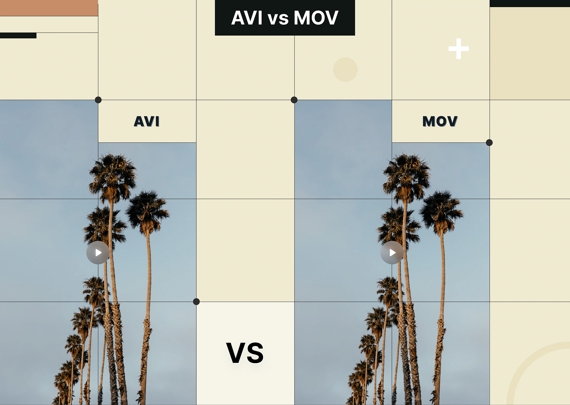 AVI vs MOV: Which Video Format is Better?